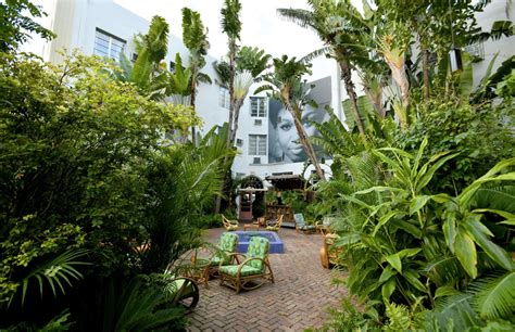 prada cafe miami